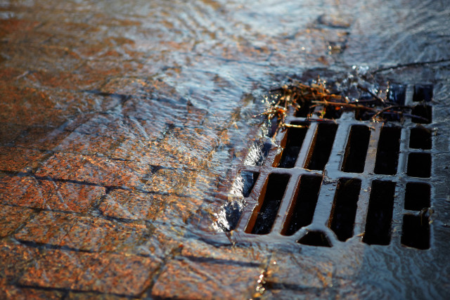 Public works assessment for Whatcom County