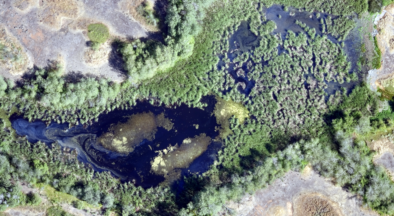 Aerial Imagery Helps Conserve Critical Habitat | FLO Analytics