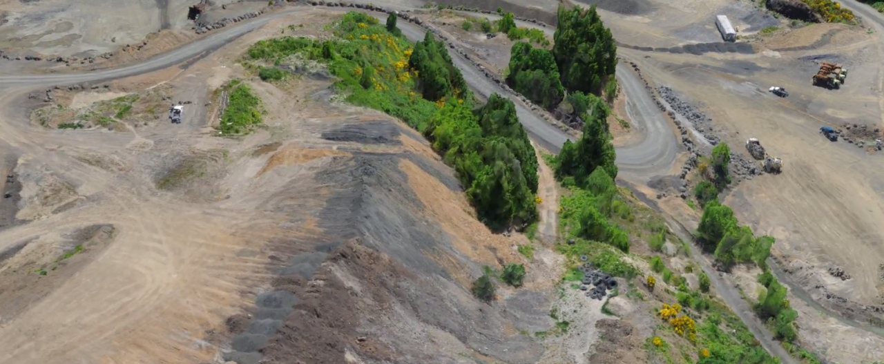 FLO Kennedy Creek FLO