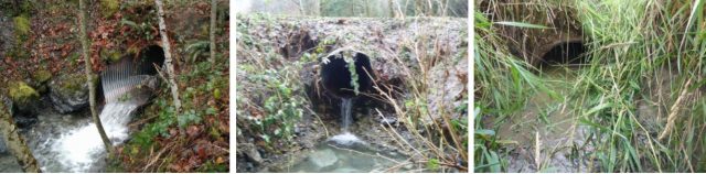 Fish culvert examples in storymap